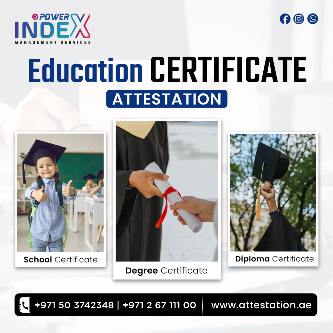 Employment And Education